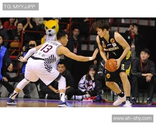 球星数据纵横谱,征服赛场风云势